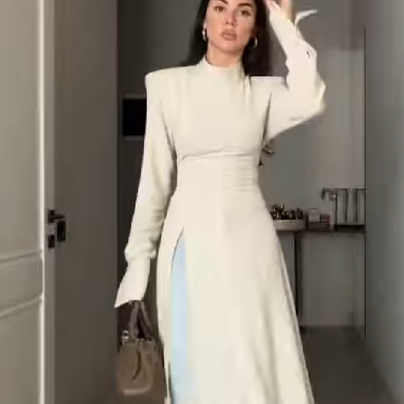 فستان نسائي أنيق طويل الأكمام  - مراجعة Women Formal Wear Office وسعره