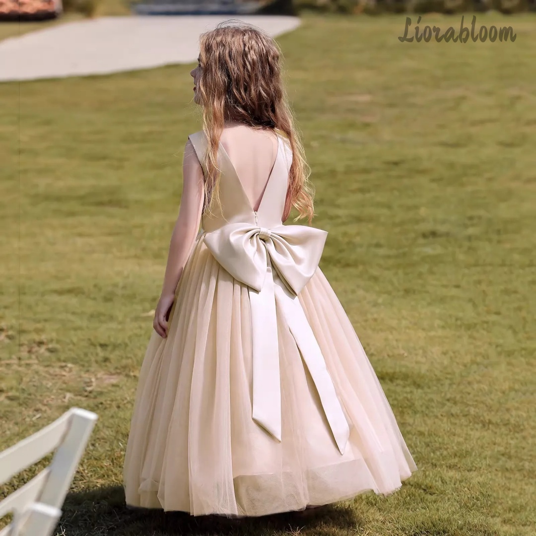 فستان أميرة متعدد الألوان بدون - مراجعة Women Formal Party Wear Dress وسعره